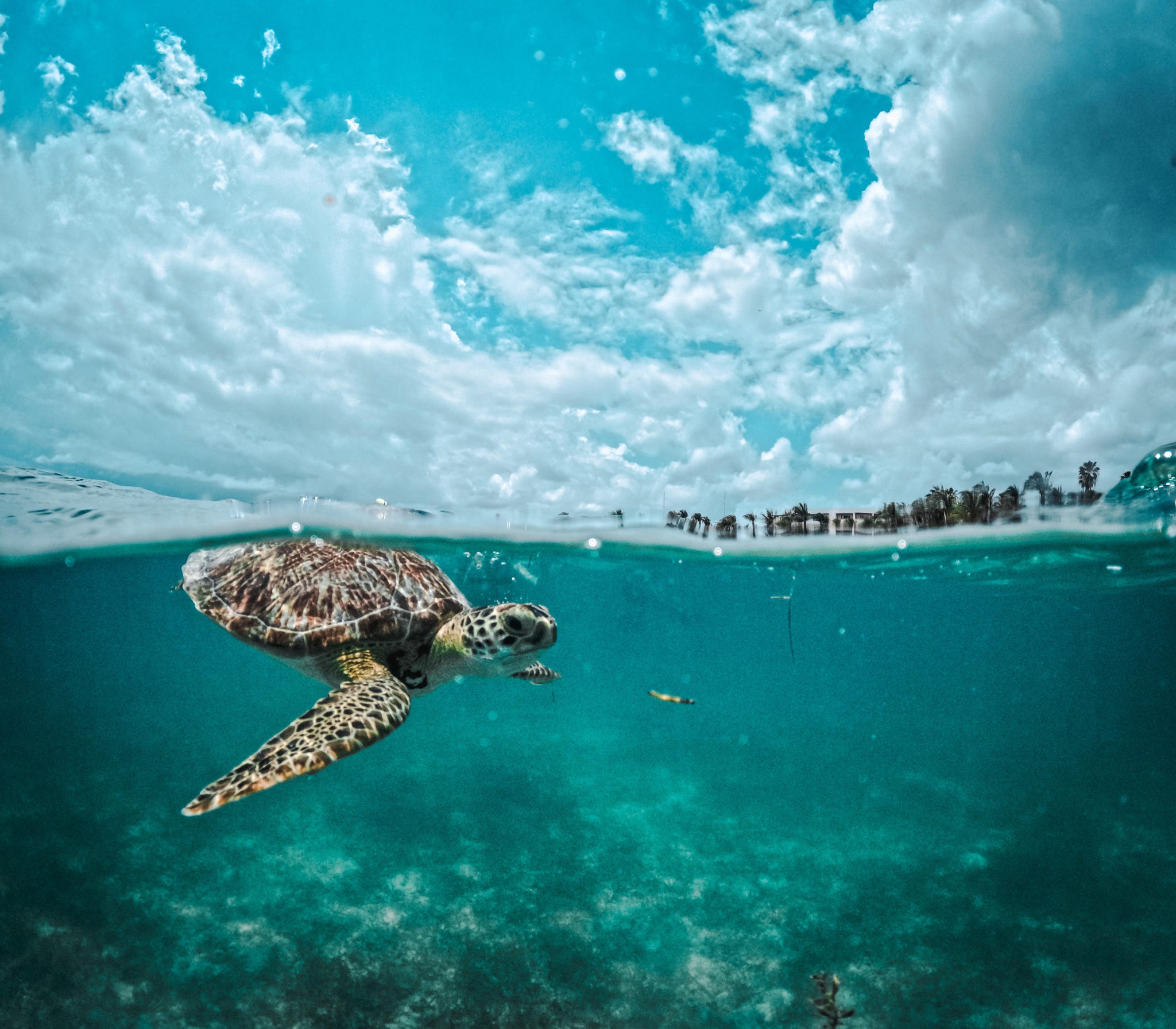 Cancun trip